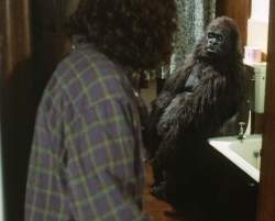 Jonathan finds Samson the gorilla on the loo